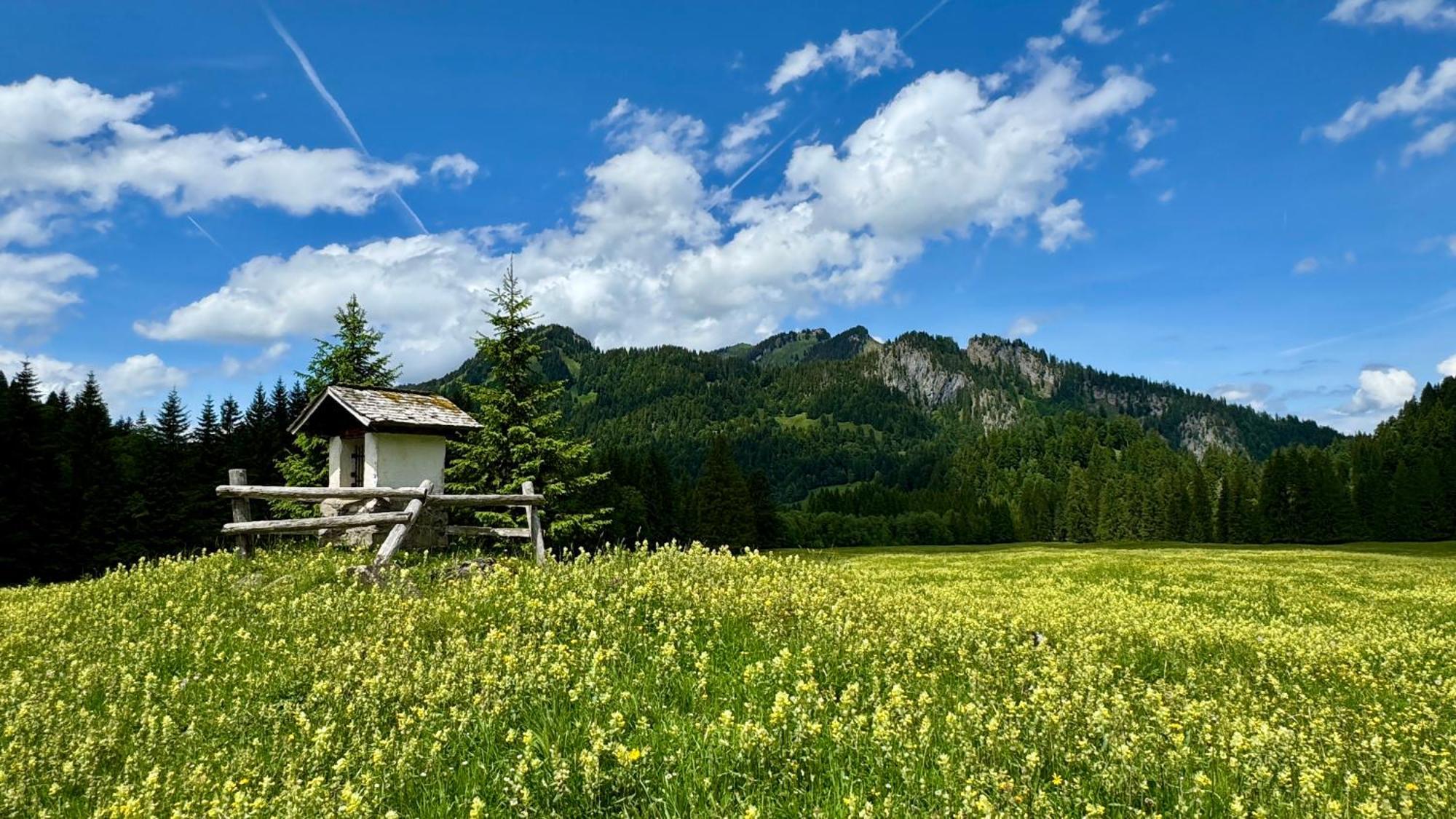 Gasthof Hirschen Sibratsgfall Bagian luar foto